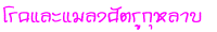 äŧѵ١Һ