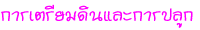 Թ١