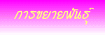 â¾ѹ