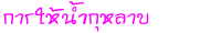 ӡҺ