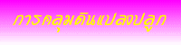 การคลุมดินแปลงปลูก