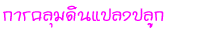 äԹŧ١