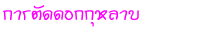 õѴ͡Һ