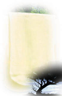 ٻҧ