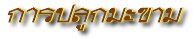 'û١Т'