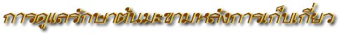 'ôѡҵТѧ'