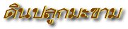 'Թ١Т'