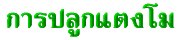 'û١'