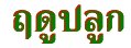 'Ĵٻ١'