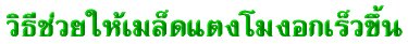 'Ըժᵧ͡Ǣ'