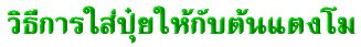 'ԸաѺᵧ'