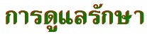 'ôѡ'