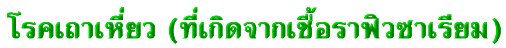 'ä
