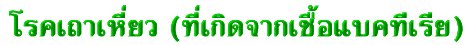 'ä