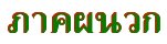 'Ҥǡ'