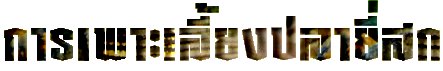 §ʡ